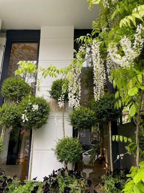 איסטמבול Ab Residences -Cihangir Luxury Antique Apartment מראה חיצוני תמונה